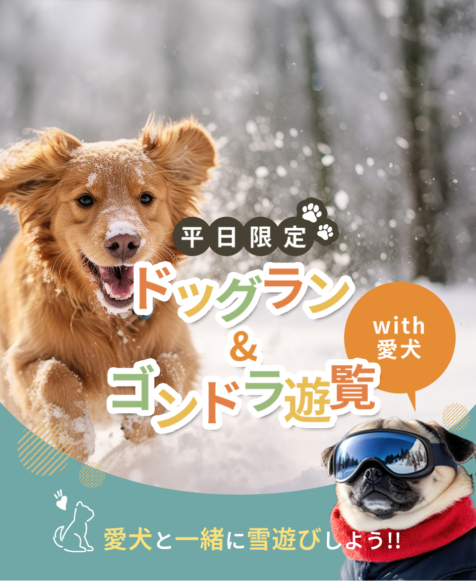 ドッグラン&ゴンドラ遊覧with愛犬 愛犬と一緒に雪遊びしよう！！